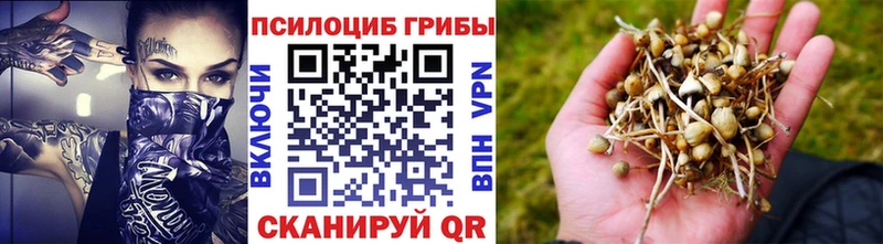 продажа наркотиков omg ссылка Галлюциногенные грибы Cubensis Славянск-на-Кубани